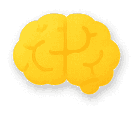 Brain